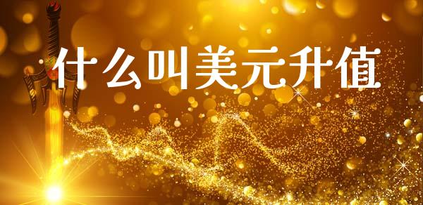 什么叫美元升值_https://wap.jnlaobingbanjia.com_财务管理_第1张