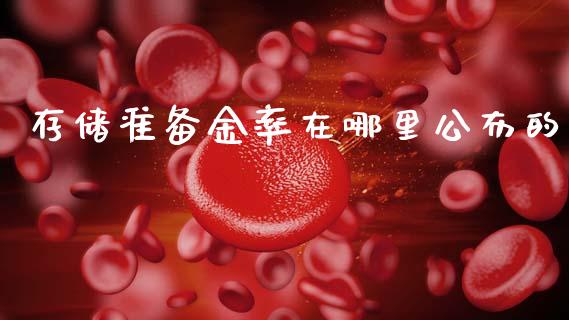 存储准备金率在哪里公布的_https://wap.jnlaobingbanjia.com_财务管理_第1张