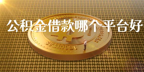 公积金借款哪个平台好_https://wap.jnlaobingbanjia.com_证券公告_第1张