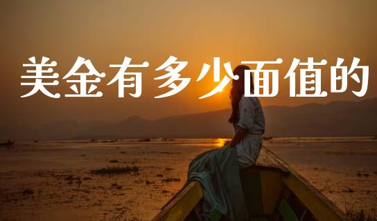 美金有多少面值的_https://wap.jnlaobingbanjia.com_财经资讯_第1张