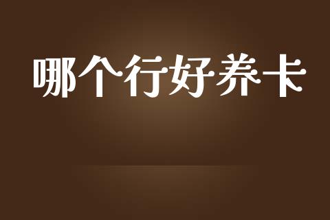 哪个行好养卡_https://wap.jnlaobingbanjia.com_财经资讯_第1张