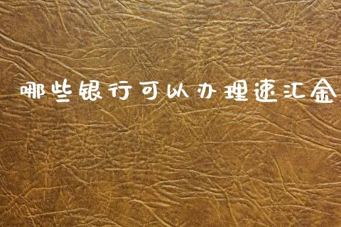 哪些银行可以办理速汇金_https://wap.jnlaobingbanjia.com_基金分析_第1张