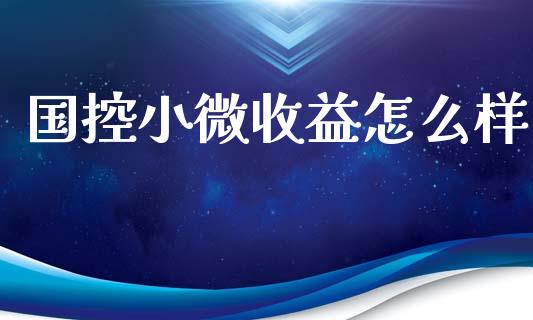 国控小微收益怎么样_https://wap.jnlaobingbanjia.com_基金分析_第1张