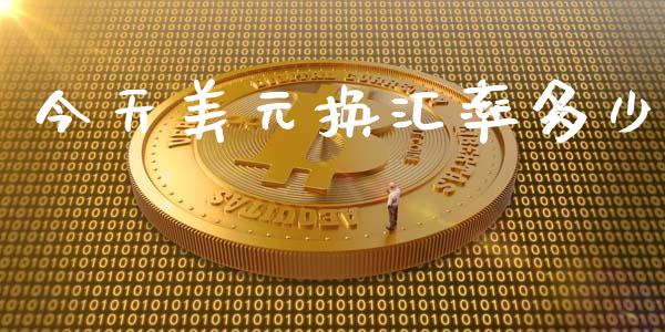 今天美元换汇率多少_https://wap.jnlaobingbanjia.com_基金分析_第1张