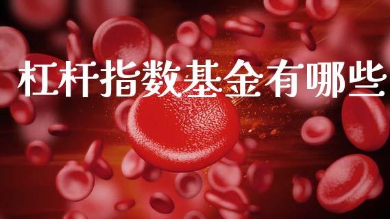 杠杆指数基金有哪些_https://wap.jnlaobingbanjia.com_财务管理_第1张