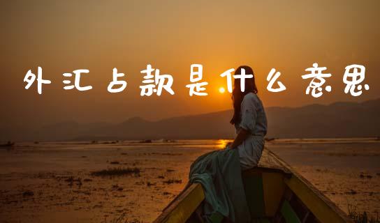 外汇占款是什么意思_https://wap.jnlaobingbanjia.com_财经资讯_第1张