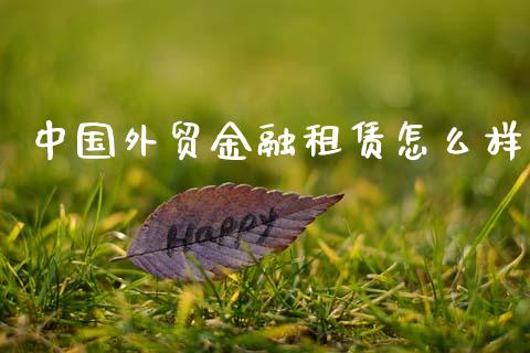 中国外贸金融租赁怎么样_https://wap.jnlaobingbanjia.com_财经资讯_第1张