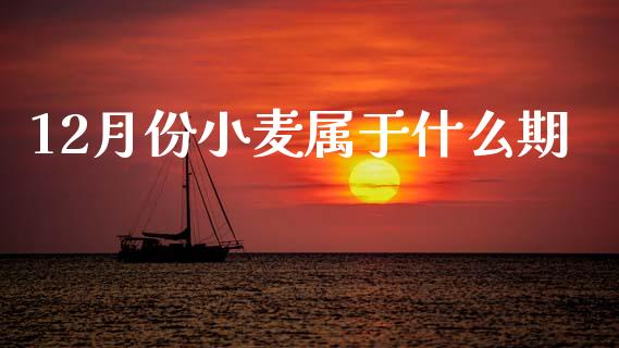 12月份小麦属于什么期_https://wap.jnlaobingbanjia.com_证券公告_第1张