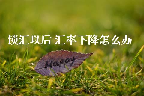 锁汇以后 汇率下降怎么办_https://wap.jnlaobingbanjia.com_财经资讯_第1张