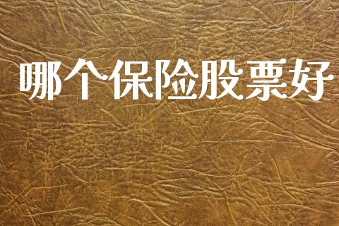 哪个保险股票好_https://wap.jnlaobingbanjia.com_证券公告_第1张