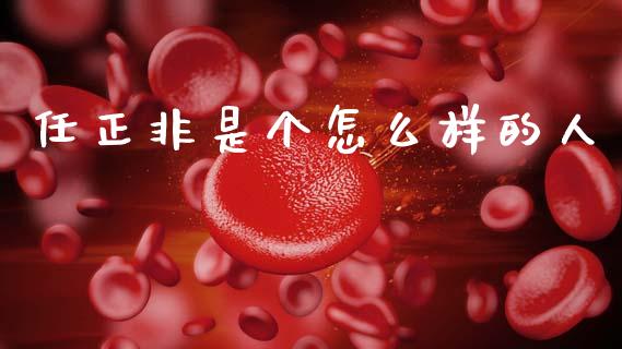 任正非是个怎么样的人_https://wap.jnlaobingbanjia.com_财经资讯_第1张