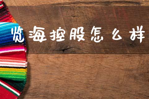 览海控股怎么样_https://wap.jnlaobingbanjia.com_金融理财_第1张