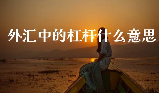 外汇中的杠杆什么意思_https://wap.jnlaobingbanjia.com_证券公告_第1张