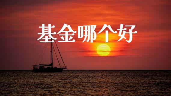 基金哪个好_https://wap.jnlaobingbanjia.com_财务管理_第1张