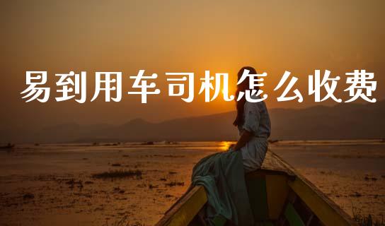 易到用车司机怎么收费_https://wap.jnlaobingbanjia.com_股市行情_第1张