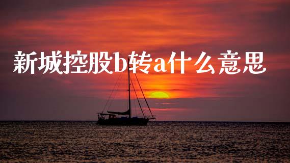 新城控股b转a什么意思_https://wap.jnlaobingbanjia.com_金融理财_第1张