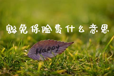 豁免保险费什么意思_https://wap.jnlaobingbanjia.com_财务管理_第1张