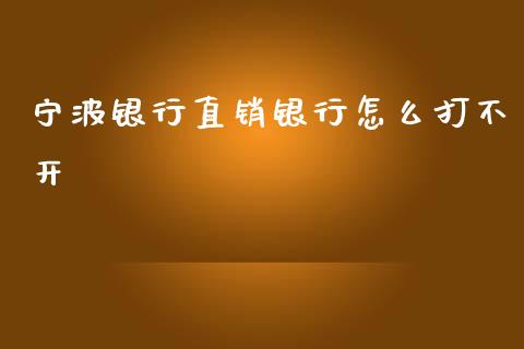 宁波银行直销银行怎么打不开_https://wap.jnlaobingbanjia.com_基金分析_第1张