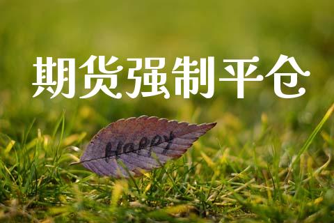 期货强制平仓_https://wap.jnlaobingbanjia.com_财务管理_第1张