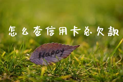 怎么查信用卡总欠款_https://wap.jnlaobingbanjia.com_财务管理_第1张