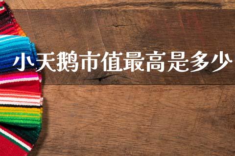 小天鹅市值最高是多少_https://wap.jnlaobingbanjia.com_财经资讯_第1张