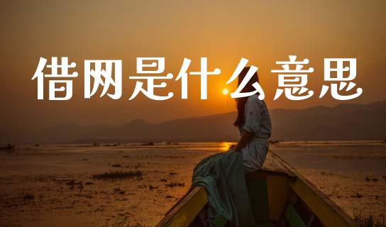 借网是什么意思_https://wap.jnlaobingbanjia.com_金融理财_第1张