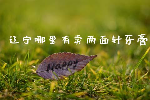 辽宁哪里有卖两面针牙膏_https://wap.jnlaobingbanjia.com_金融理财_第1张