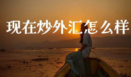 现在炒外汇怎么样_https://wap.jnlaobingbanjia.com_财经资讯_第1张