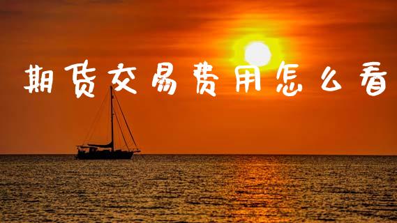 期货交易费用怎么看_https://wap.jnlaobingbanjia.com_财经资讯_第1张