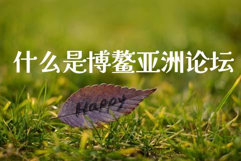 什么是博鳌亚洲论坛_https://wap.jnlaobingbanjia.com_财务管理_第1张