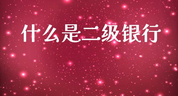 什么是二级银行_https://wap.jnlaobingbanjia.com_股市行情_第1张
