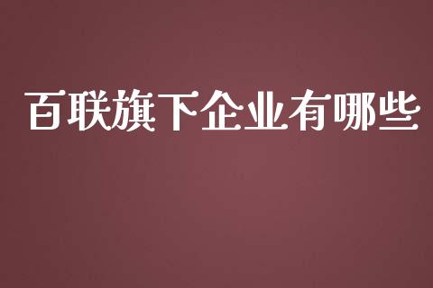 百联旗下企业有哪些_https://wap.jnlaobingbanjia.com_股市行情_第1张