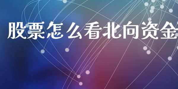 股票怎么看北向资金_https://wap.jnlaobingbanjia.com_股市行情_第1张