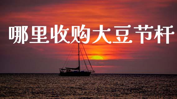 哪里收购大豆节杆_https://wap.jnlaobingbanjia.com_证券公告_第1张