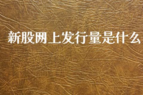 新股网上发行量是什么_https://wap.jnlaobingbanjia.com_财经资讯_第1张