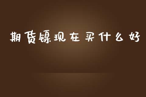 期货镍现在买什么好_https://wap.jnlaobingbanjia.com_股市行情_第1张