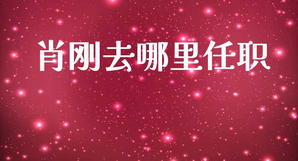 肖刚去哪里任职_https://wap.jnlaobingbanjia.com_股市行情_第1张