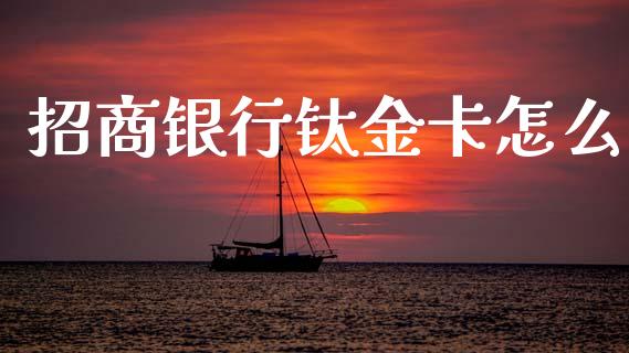 招商银行钛金卡怎么_https://wap.jnlaobingbanjia.com_证券公告_第1张