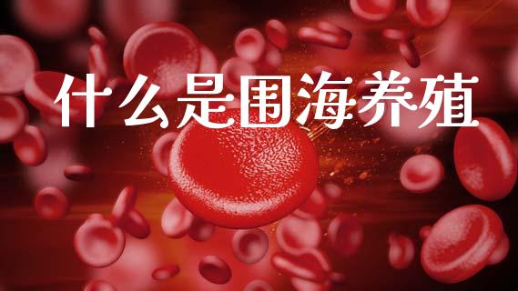 什么是围海养殖_https://wap.jnlaobingbanjia.com_证券公告_第1张