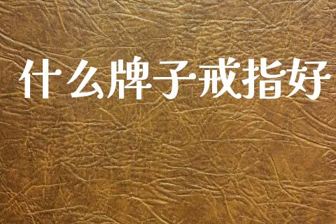 什么牌子戒指好_https://wap.jnlaobingbanjia.com_财务管理_第1张