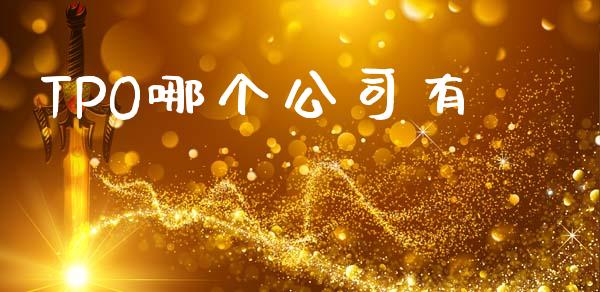 TPO哪个公司有_https://wap.jnlaobingbanjia.com_财务管理_第1张