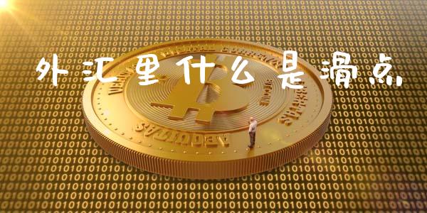 外汇里什么是滑点_https://wap.jnlaobingbanjia.com_财务管理_第1张