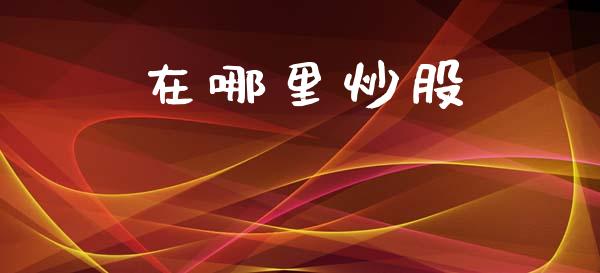 在哪里炒股_https://wap.jnlaobingbanjia.com_证券公告_第1张