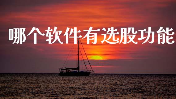 哪个软件有选股功能_https://wap.jnlaobingbanjia.com_证券公告_第1张