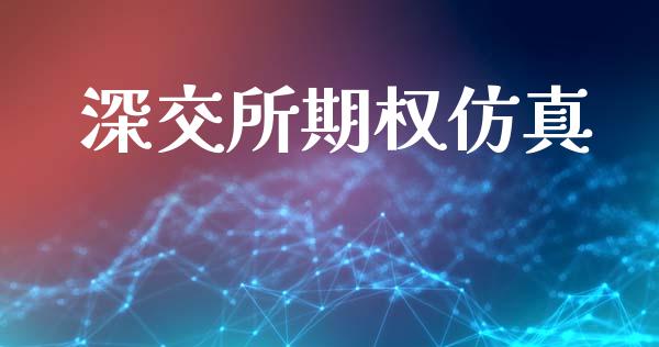 深交所期权仿真_https://wap.jnlaobingbanjia.com_证券公告_第1张