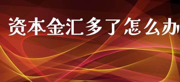 资本金汇多了怎么办_https://wap.jnlaobingbanjia.com_财经资讯_第1张