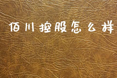 佰川控股怎么样_https://wap.jnlaobingbanjia.com_财务管理_第1张