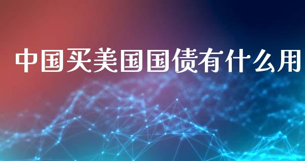 中国买美国国债有什么用_https://wap.jnlaobingbanjia.com_基金分析_第1张