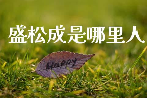 盛松成是哪里人_https://wap.jnlaobingbanjia.com_财经资讯_第1张