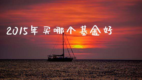 2015年买哪个基金好_https://wap.jnlaobingbanjia.com_金融理财_第1张